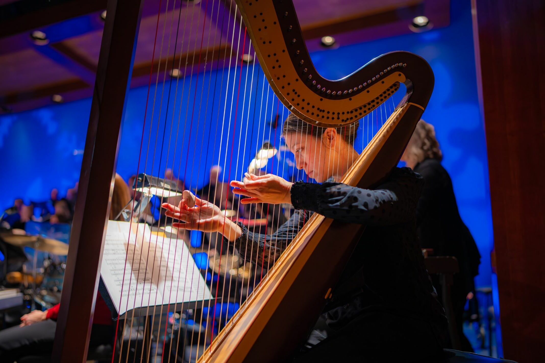 Honor or Memorialize a Loved One